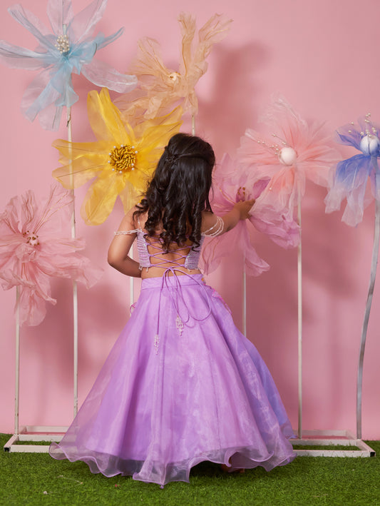 PURPLE WIRED BLOUSE ORGANZA SKIRT WITH HAND EMBROIDERY