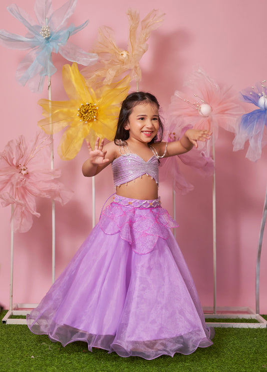 PURPLE WIRED BLOUSE ORGANZA SKIRT WITH HAND EMBROIDERY