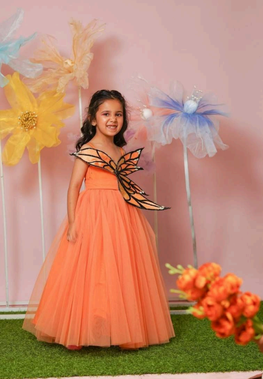 Butterfly Themed Dress